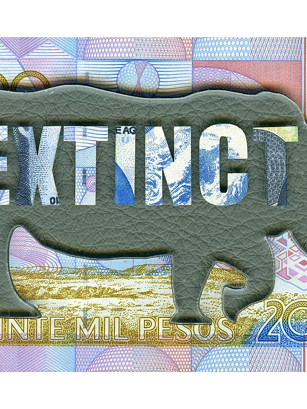 Cash is King Book - Image 3